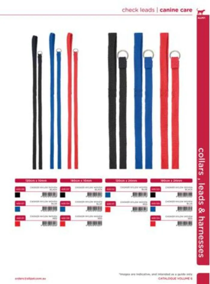 Dog Catalogue 2024 - Catalogue valid from 4 January to 31 December 2024 - page 41