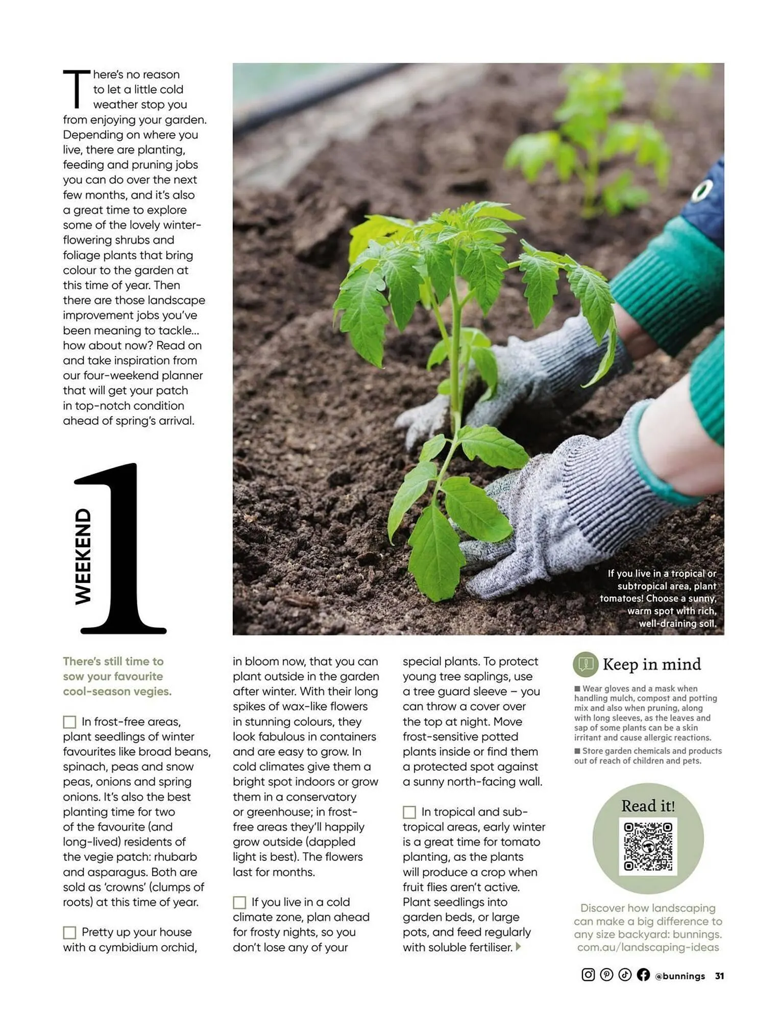 Bunnings catalogue - Catalogue valid from 1 July to 31 July 2025 - page 31