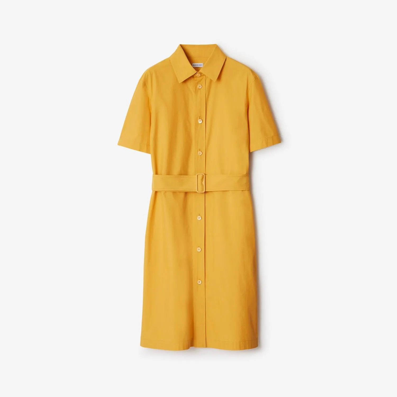 Cotton Blend Shirt Dress