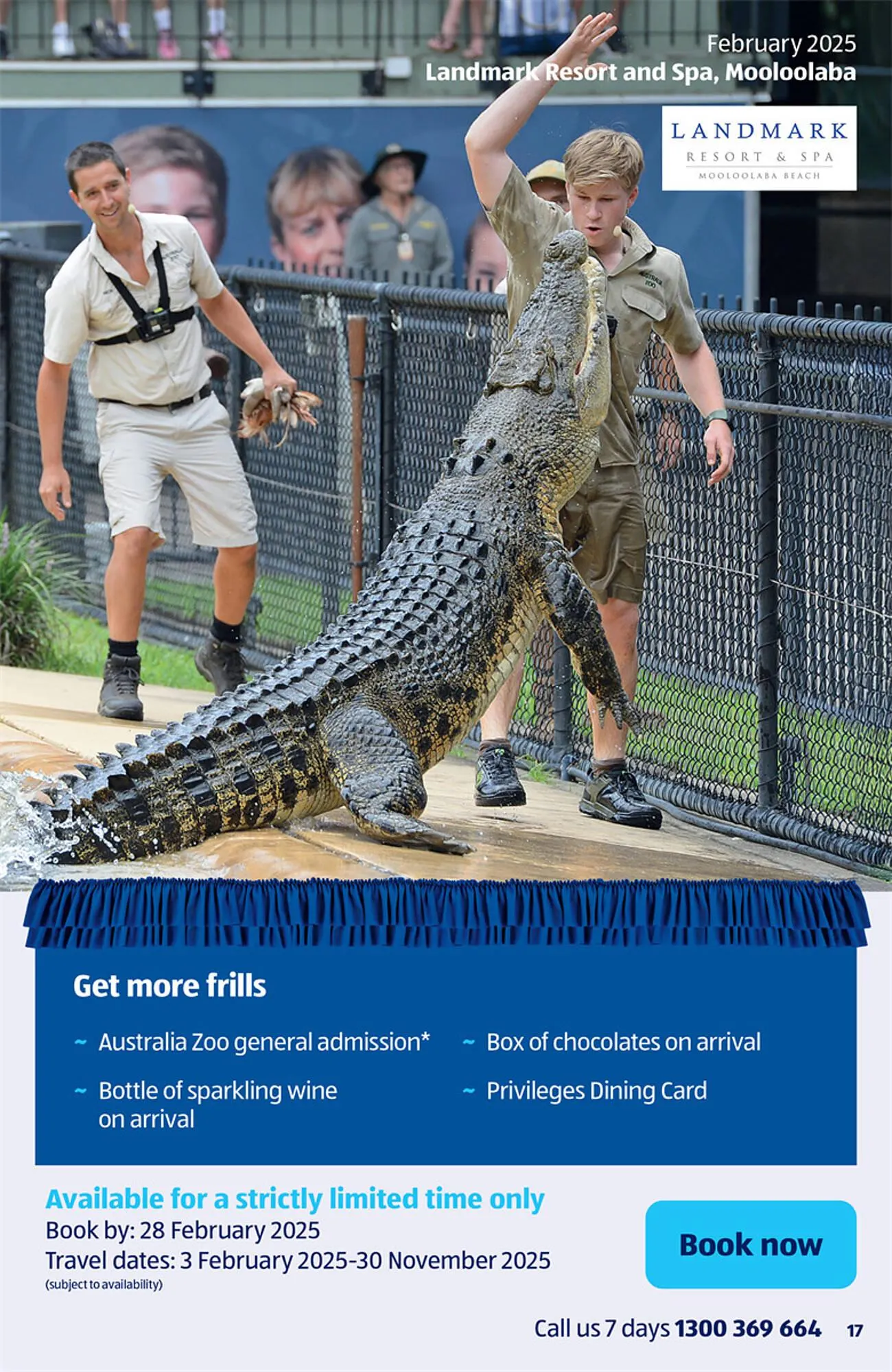 ALDI catalogue - Catalogue valid from 1 February to 28 February 2025 - page 17