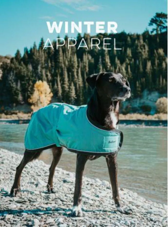 Dog Catalogue 2024 - Catalogue valid from 4 January to 31 December 2024 - page 82