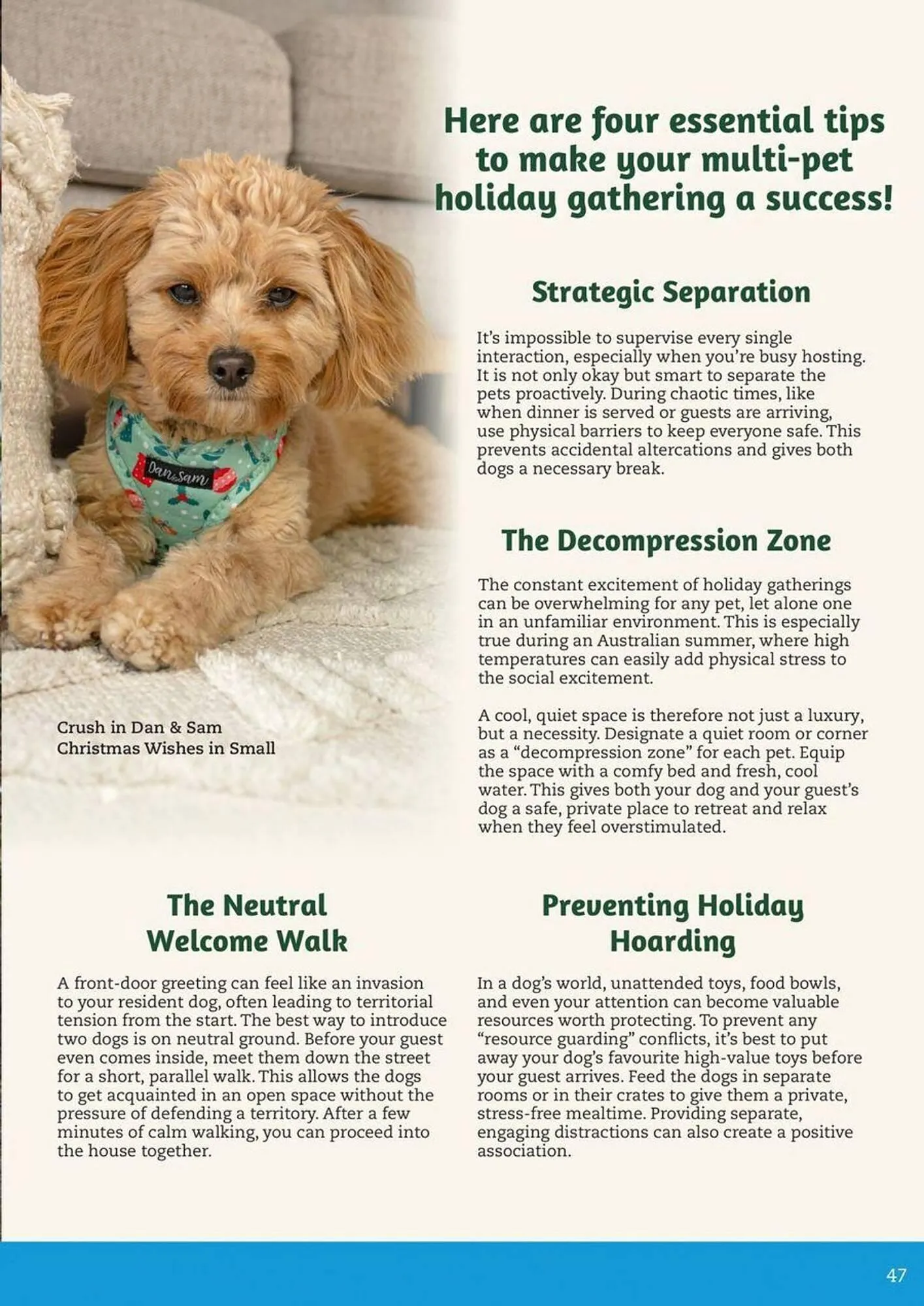 Pets Domain catalogue - Catalogue valid from 2 October to 31 December 2025 - page 47