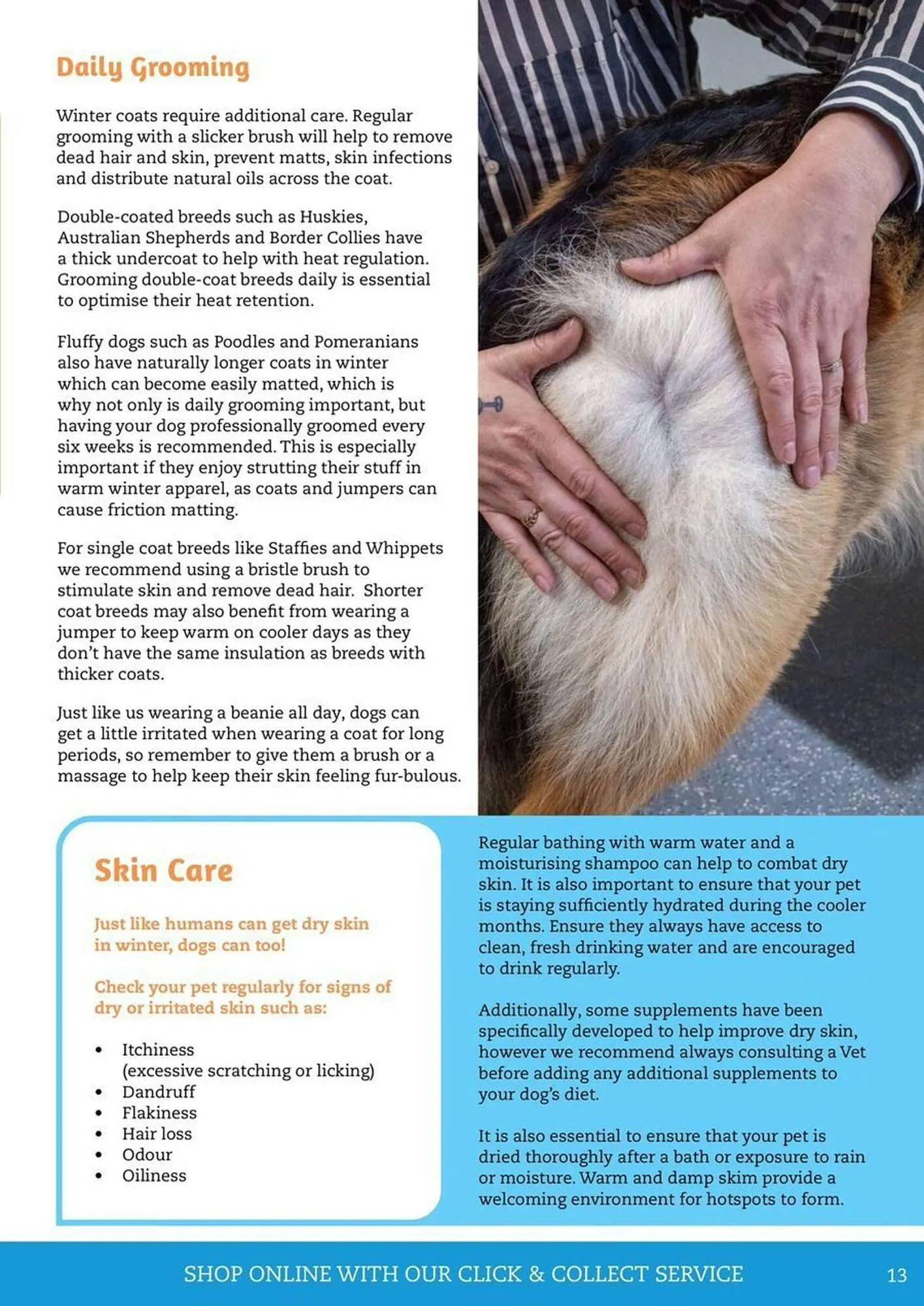 Pets Domain catalogue - Catalogue valid from 1 July to 30 September 2025 - page 13