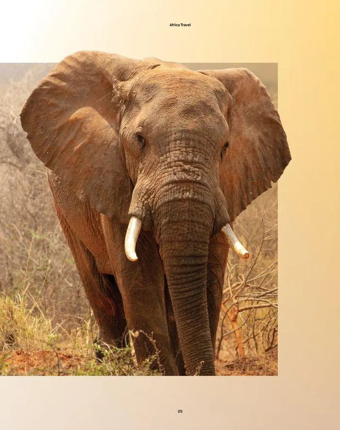 4x4 Culture Issue 65 - Catalogue valid from 25 March to 31 July 2024 - page 27