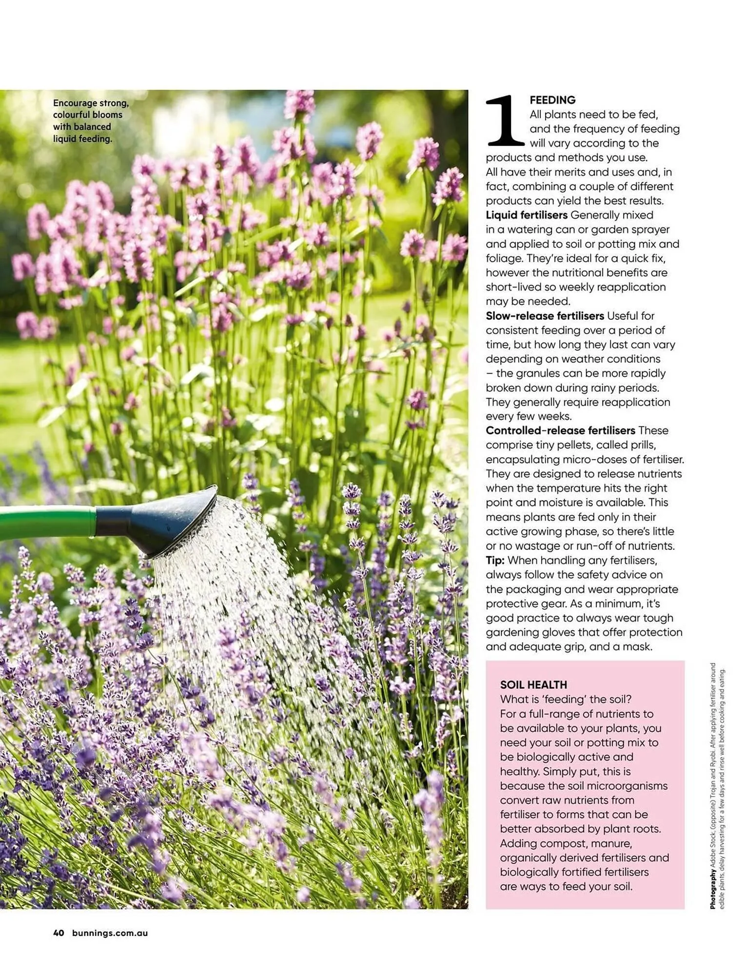 Bunnings catalogue - Catalogue valid from 1 January to 31 January 2026 - page 40