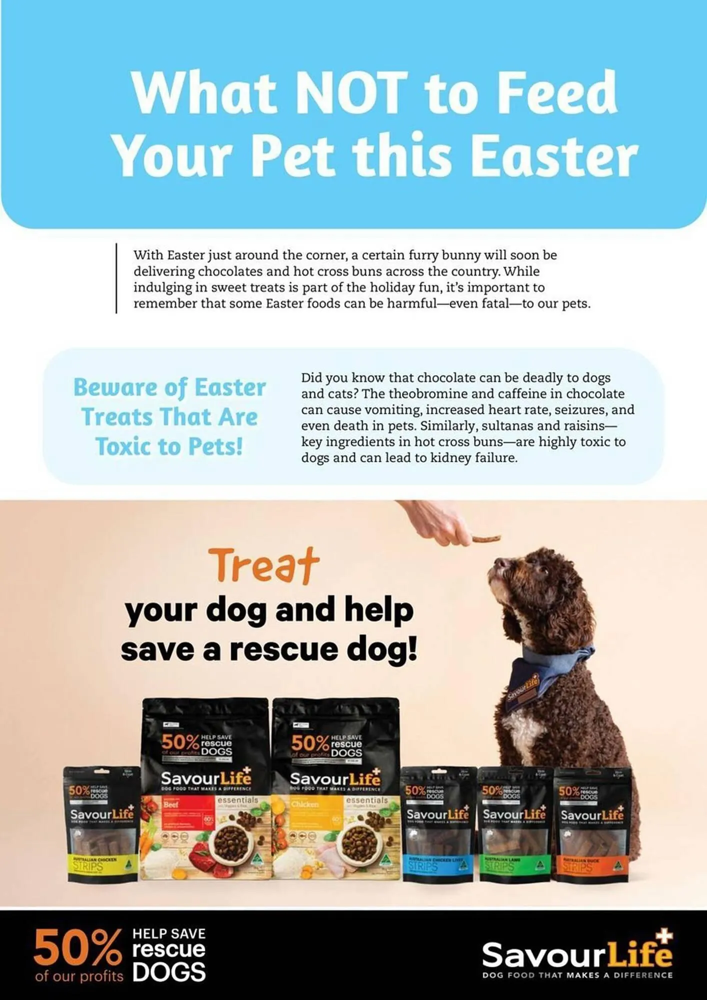 Pets Domain catalogue - Catalogue valid from 1 April to 30 June 2025 - page 4