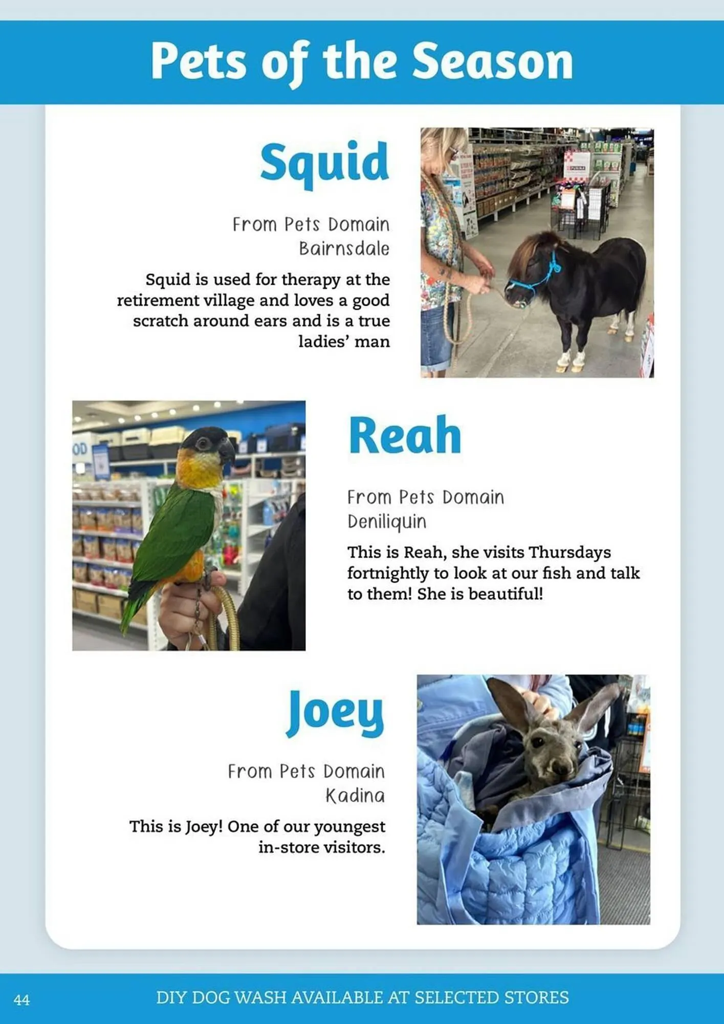 Pets Domain catalogue - Catalogue valid from 1 July to 30 September 2025 - page 44