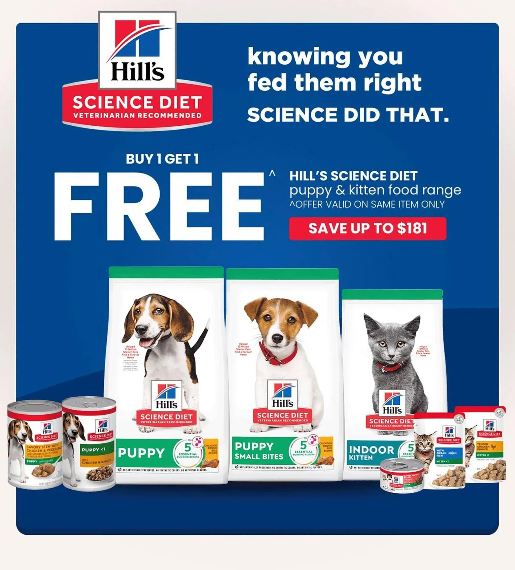 Pet stock catalogue - Catalogue valid from 22 May to 5 June 2025 - page 1