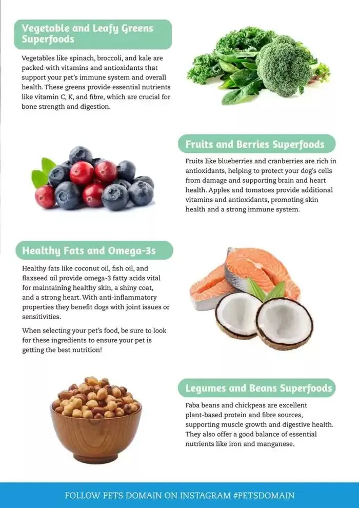 April - June 2025 - Catalogue valid from 1 April to 30 June 2025 - page 15