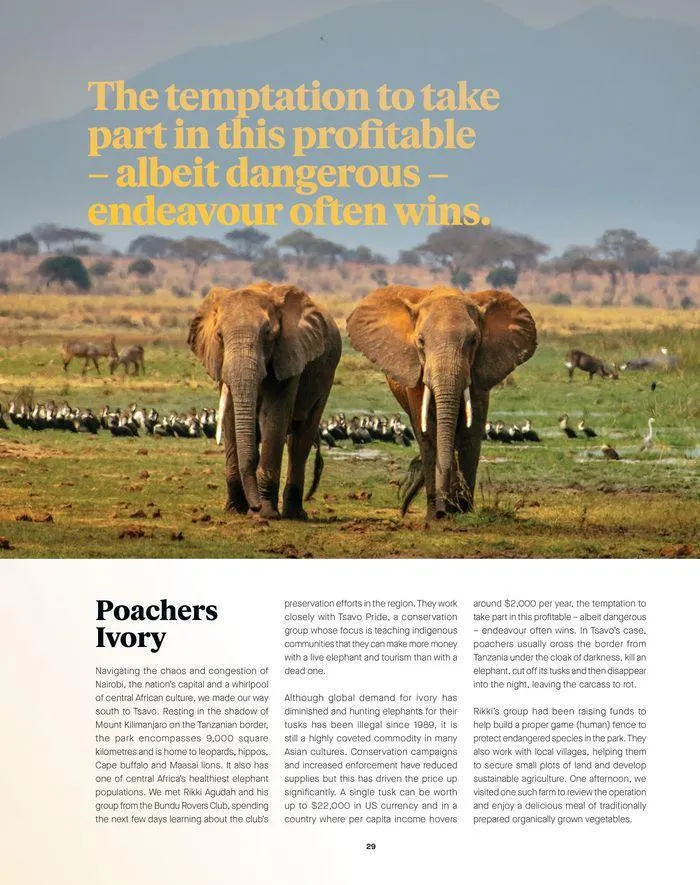 4x4 Culture Issue 65 - Catalogue valid from 25 March to 31 July 2024 - page 31