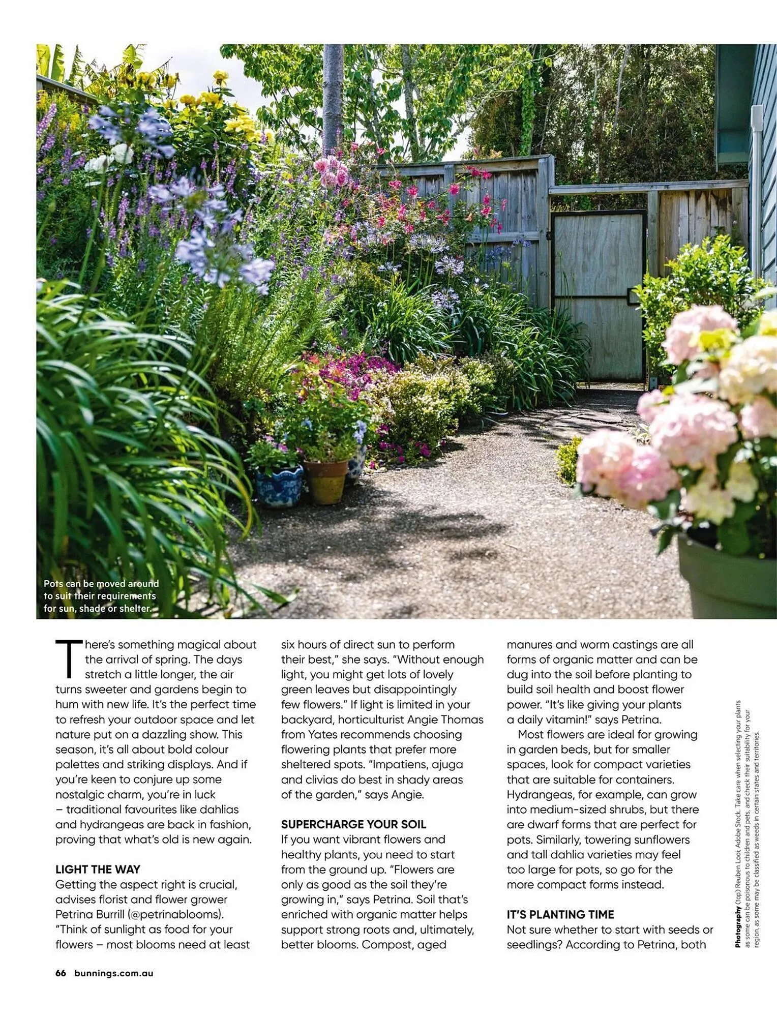 Bunnings catalogue - Catalogue valid from 1 September to 30 September 2025 - page 66