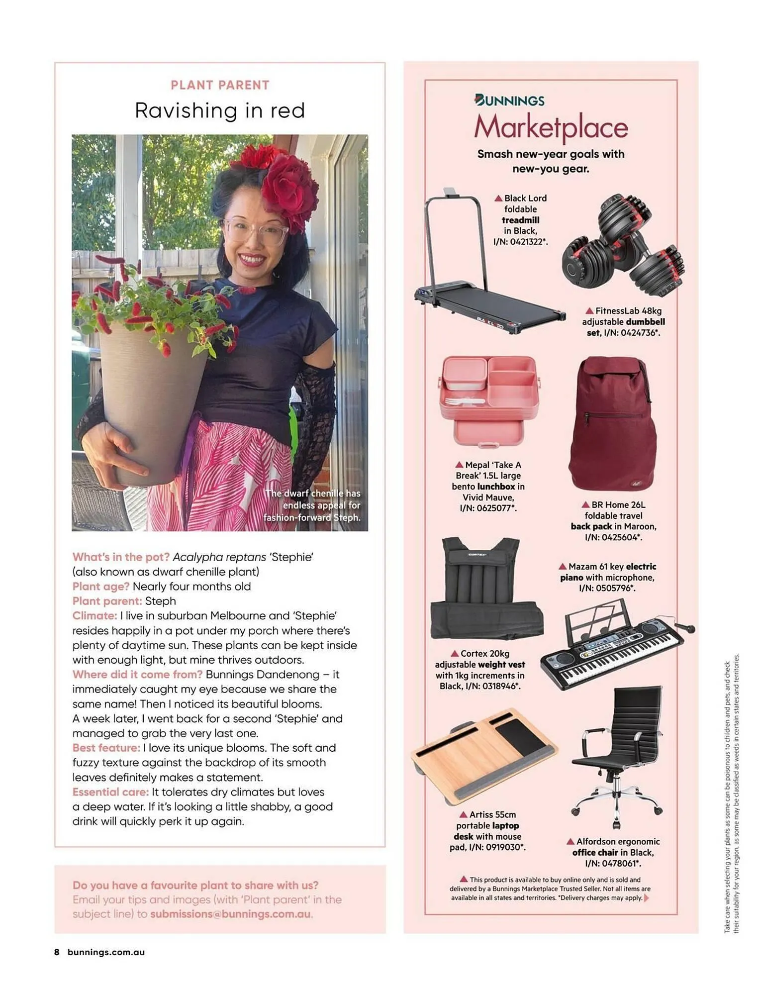 Bunnings catalogue - Catalogue valid from 1 January to 31 January 2026 - page 8