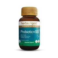 Herbs Of Gold Probiotic + SB Capsules 60