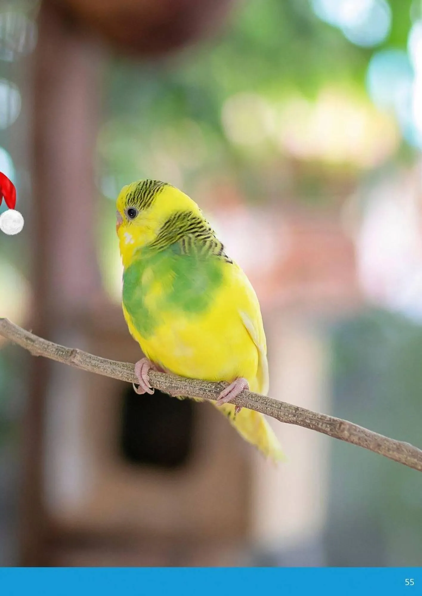 Pets Domain catalogue - Catalogue valid from 2 October to 31 December 2025 - page 55