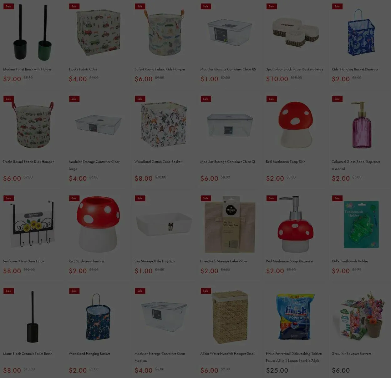 The Reject Shop Current catalogue - Catalogue valid from 20 January to 29 January 2025 - page 3