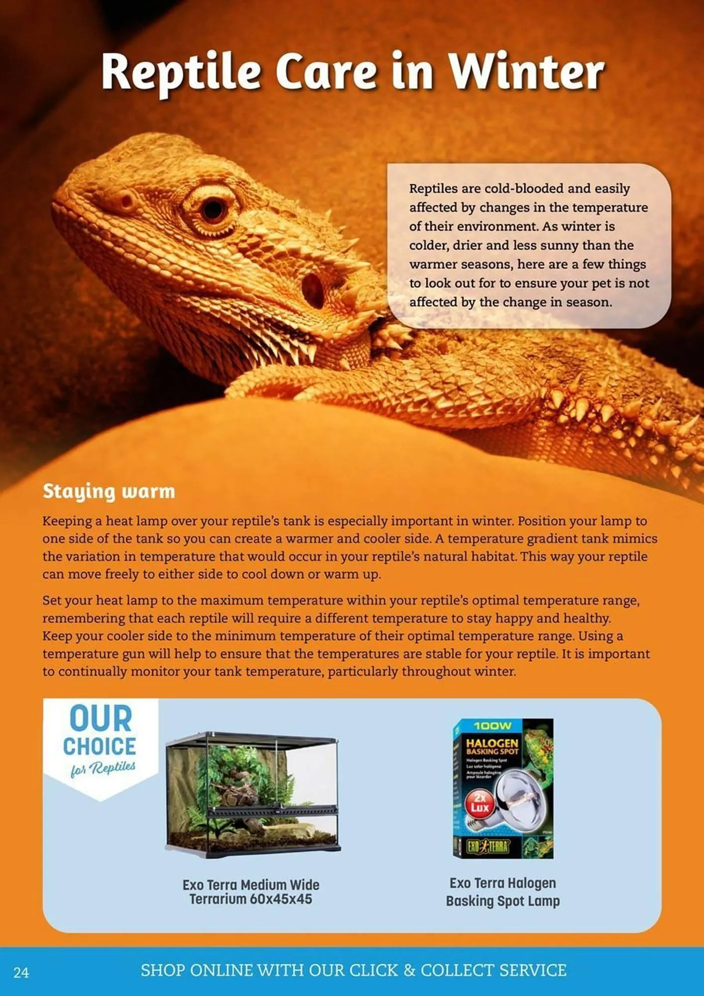 Pets Domain catalogue - Catalogue valid from 1 July to 30 September 2025 - page 24