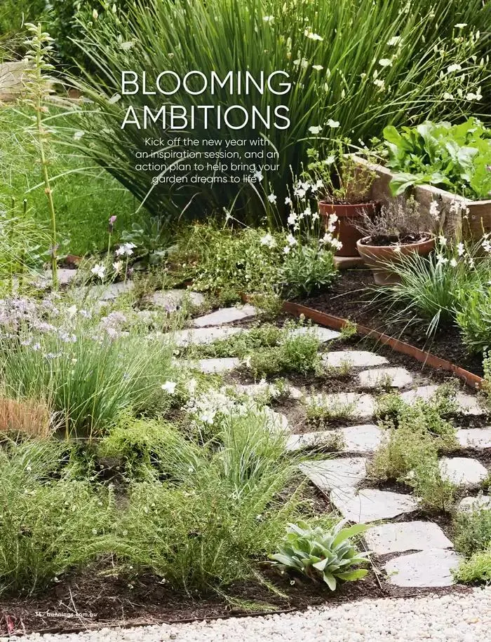 January 2025 - Catalogue valid from 1 January to 31 January 2025 - page 27