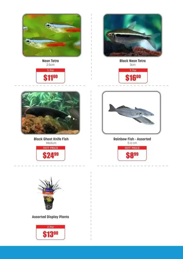 Weekly Specials - Catalogue valid from 29 January to 4 February 2025 - page 9