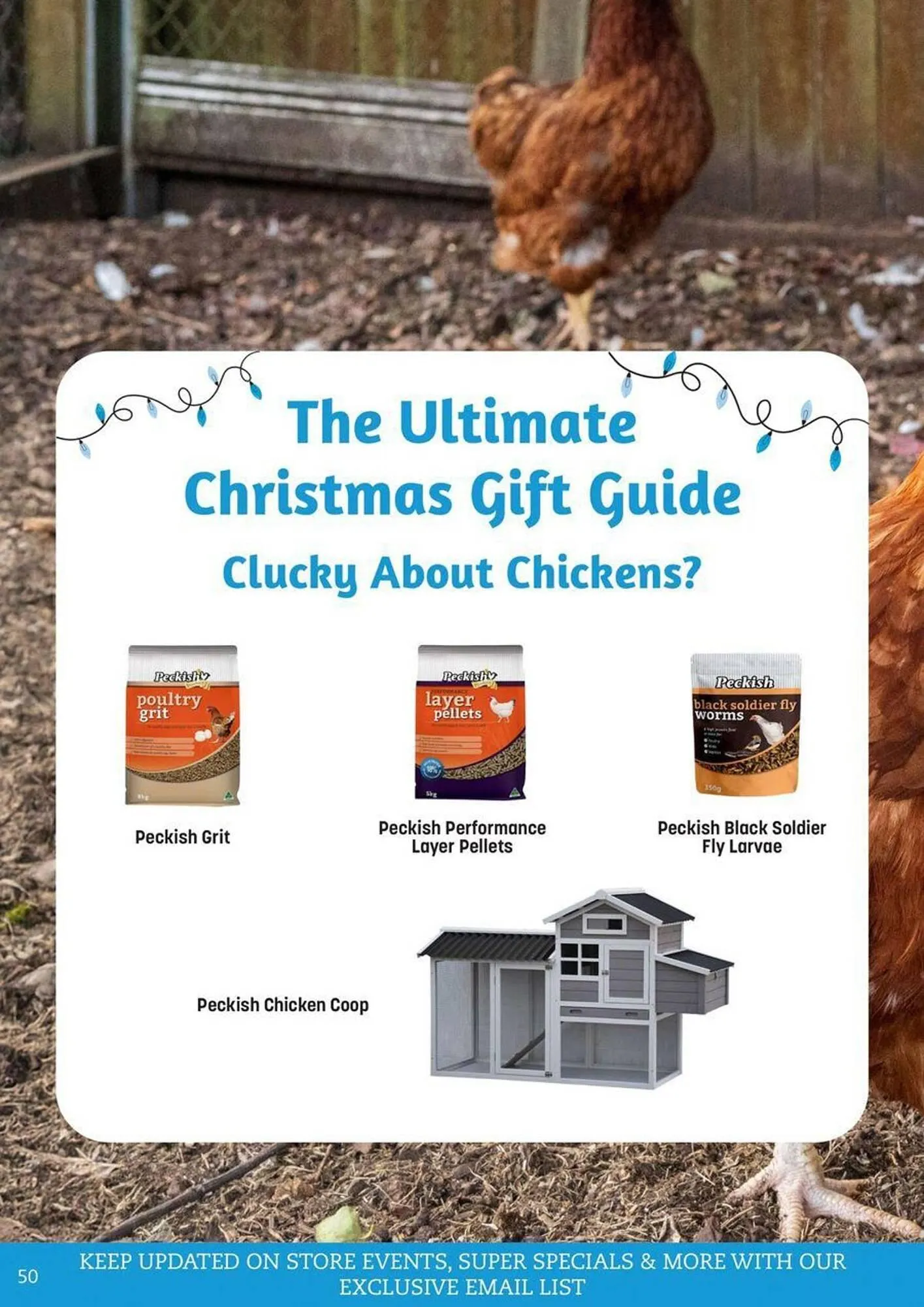 Pets Domain catalogue - Catalogue valid from 2 October to 31 December 2025 - page 50