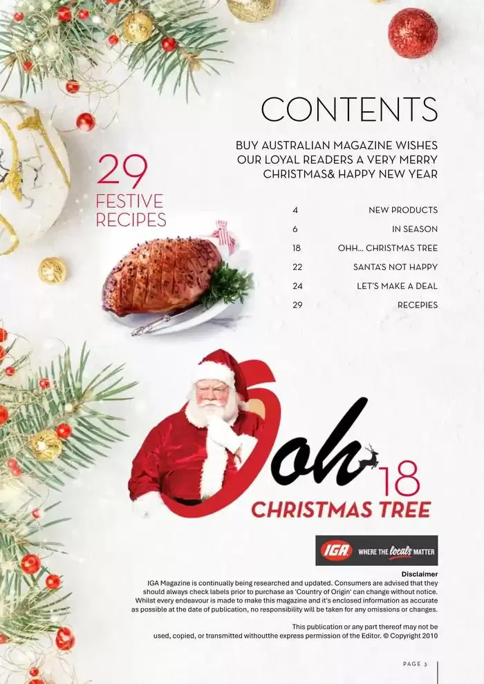Christmas Issue - Catalogue valid from 21 November to 24 December 2024 - page 3