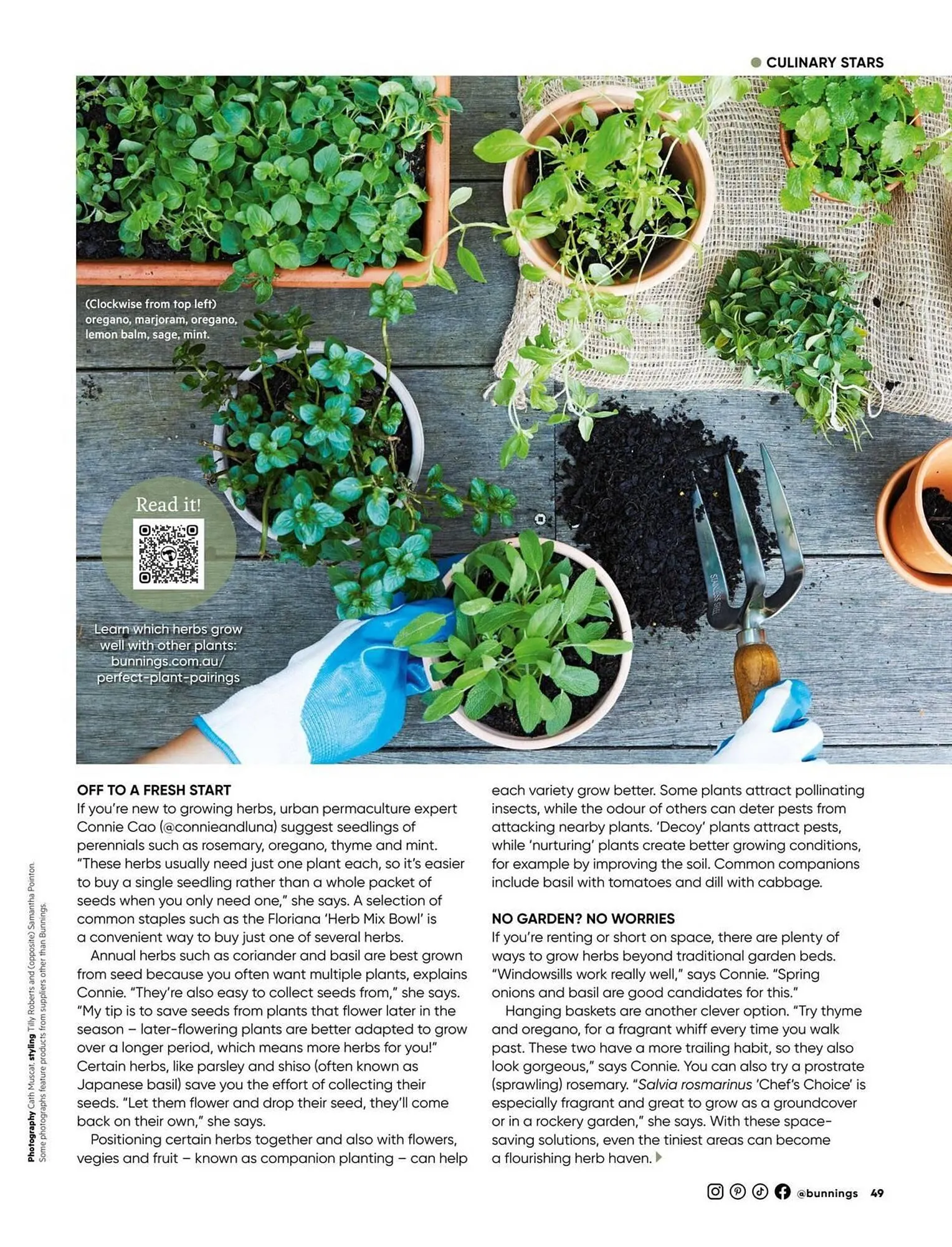 Bunnings catalogue - Catalogue valid from 1 December to 31 December 2025 - page 49