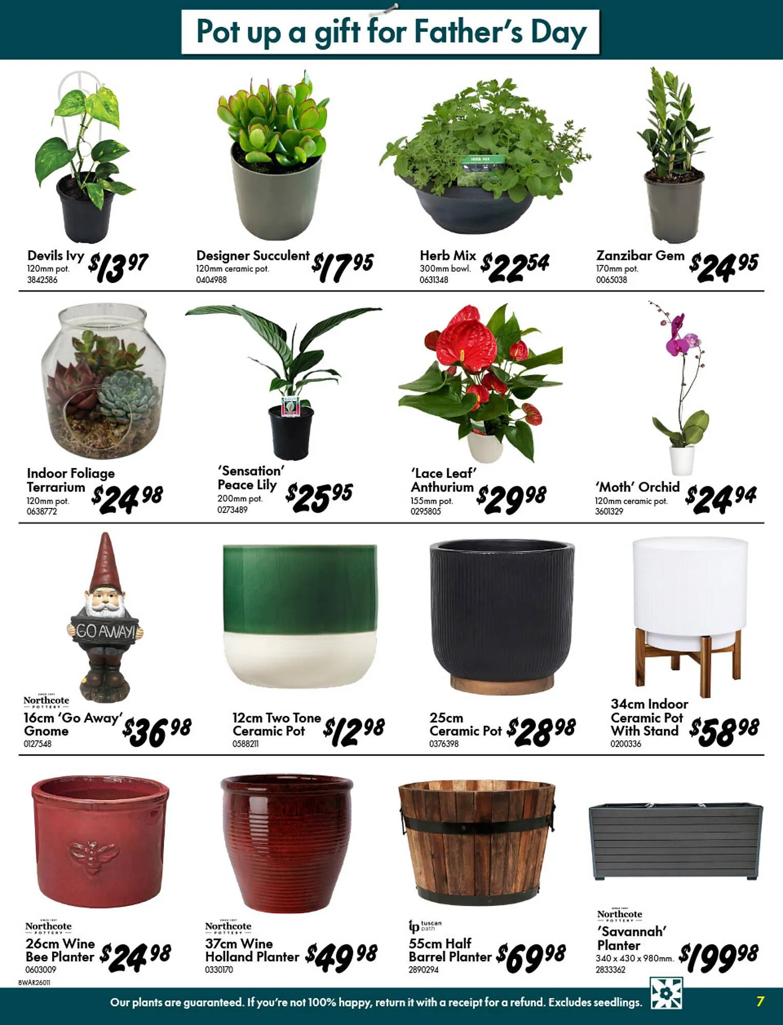 Bunnings catalogue - Catalogue valid from 13 August to 7 September 2025 - page 7