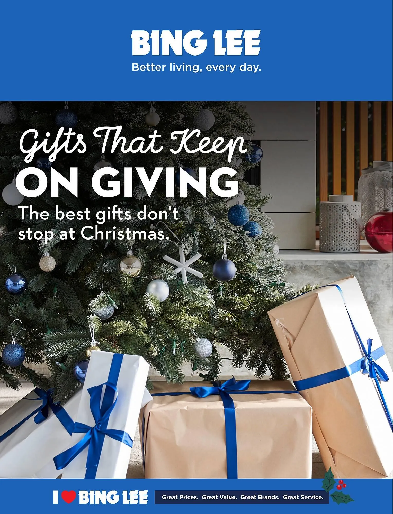 Bing Lee catalogue - 1