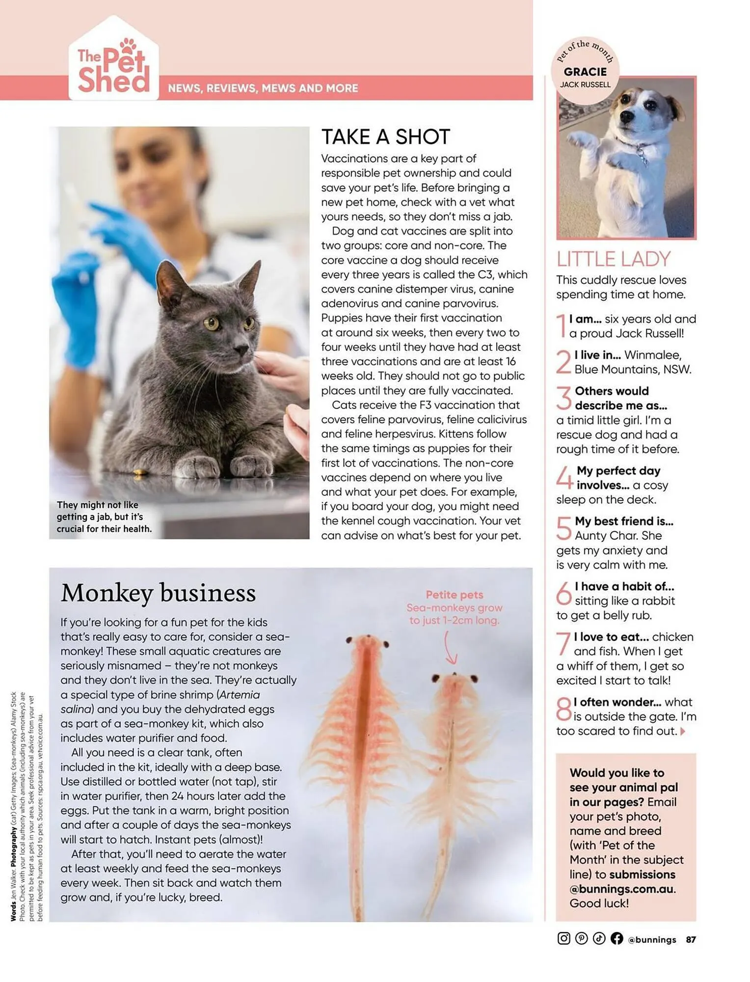 Bunnings catalogue - Catalogue valid from 1 September to 30 September 2025 - page 87