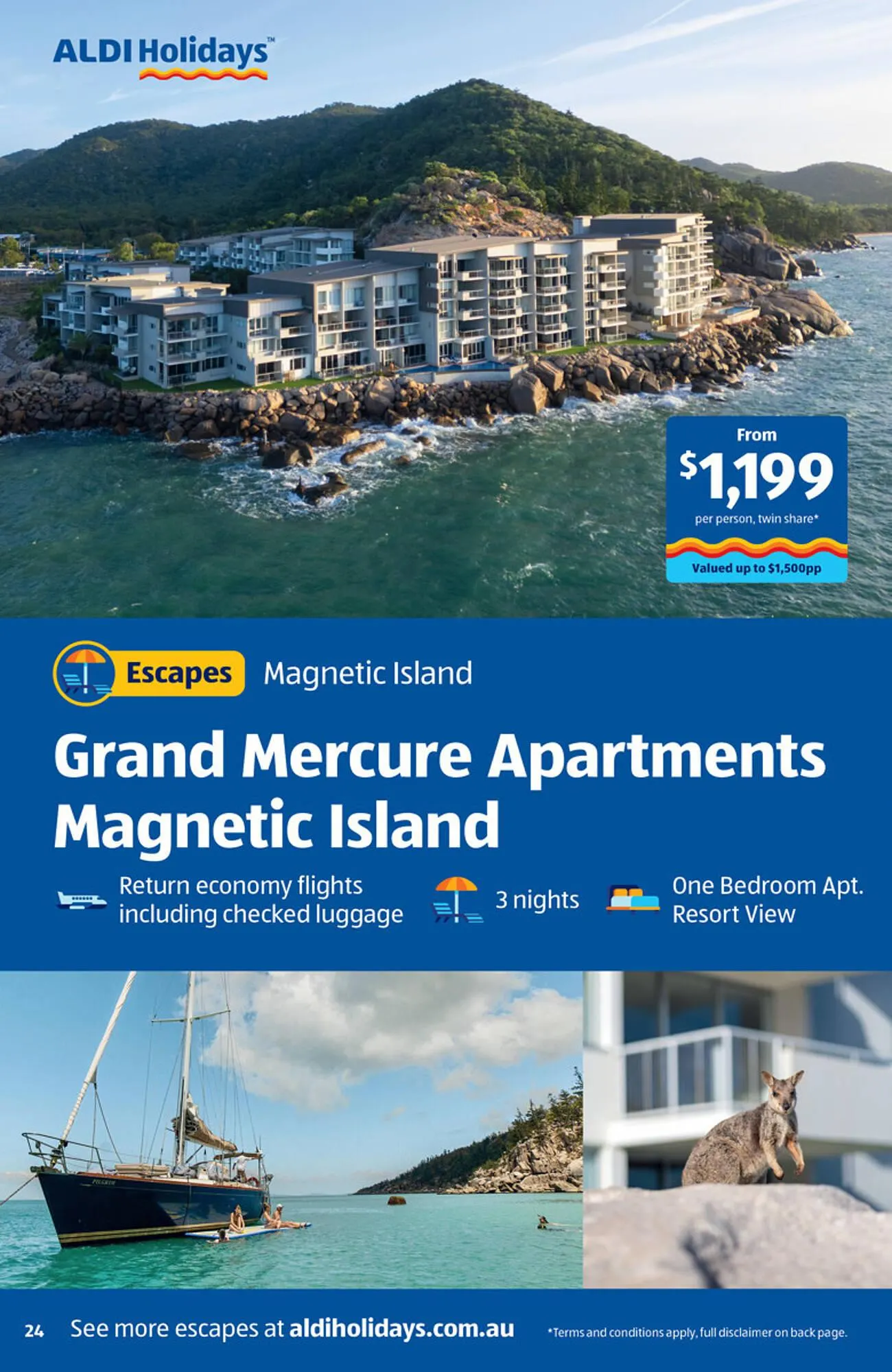 ALDI catalogue - Catalogue valid from 23 December to 31 January 2026 - page 24