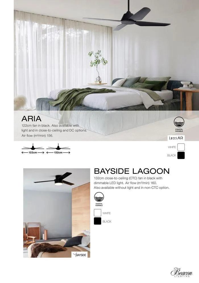 Fan Collection 2024 - Catalogue valid from 20 December to 31 December 2024 - page 21