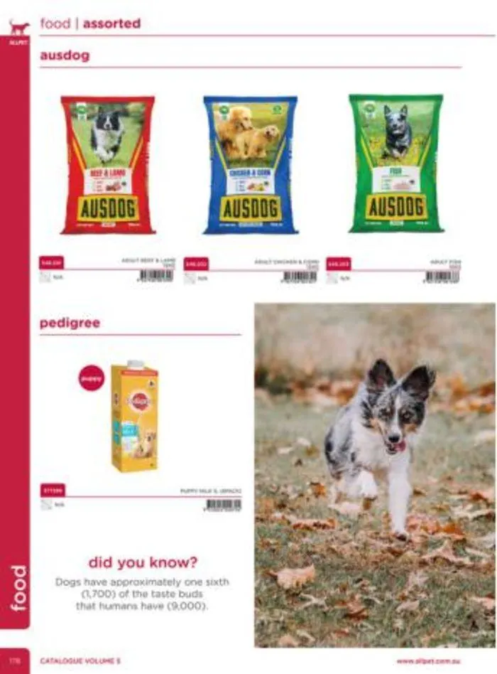Dog Catalogue 2024 - Catalogue valid from 4 January to 28 February 2025 - page 176
