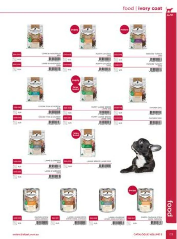 Dog Catalogue 2024 - Catalogue valid from 4 January to 28 February 2025 - page 171