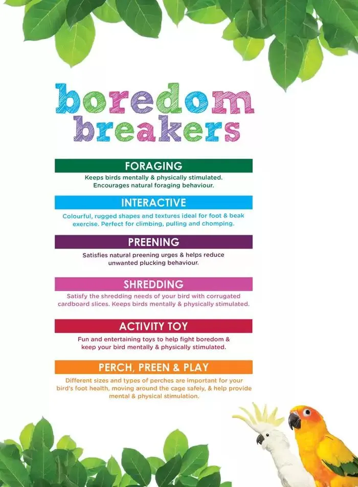 Bird Catalogue 2025 - Catalogue valid from 3 March to 31 December 2025 - page 4