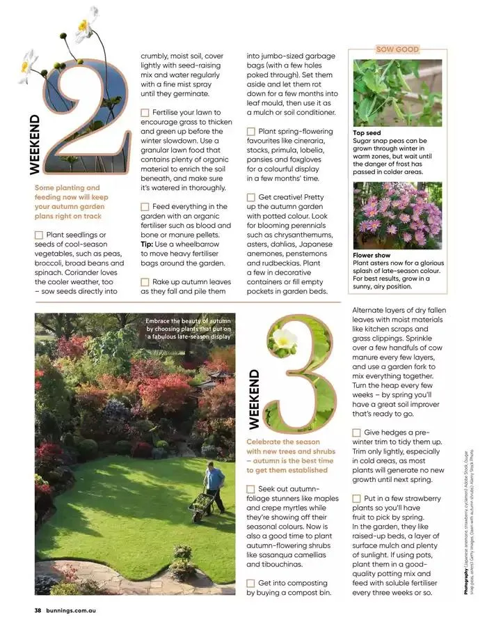 Bunnings Magazine March 2025 - Catalogue valid from 1 March to 31 March 2025 - page 38