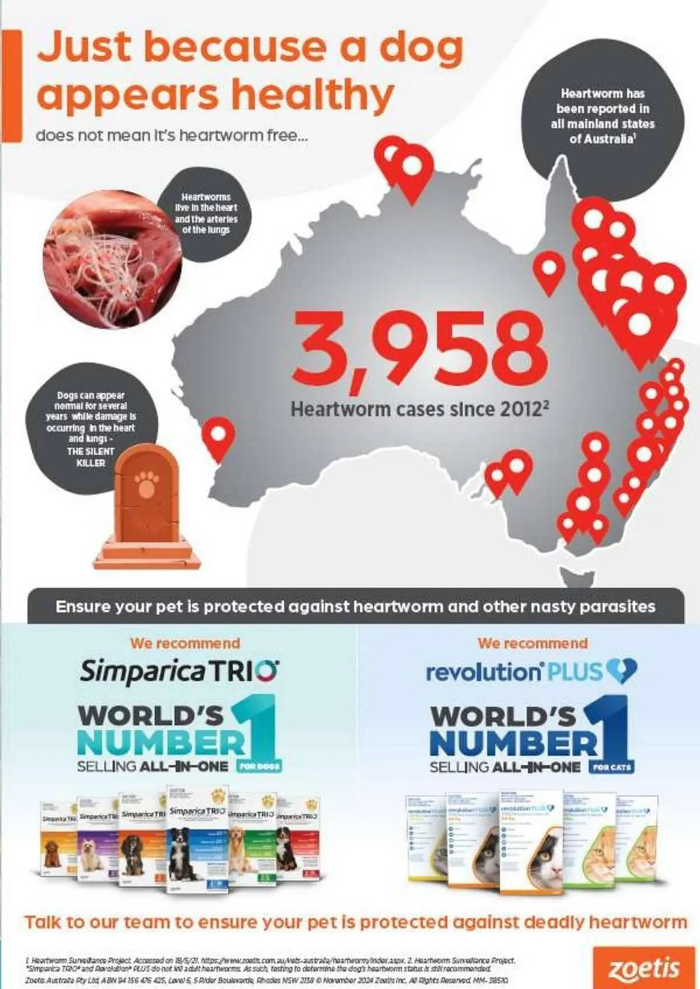 Pets Domain catalogue - Catalogue valid from 1 July to 30 September 2025 - page 39