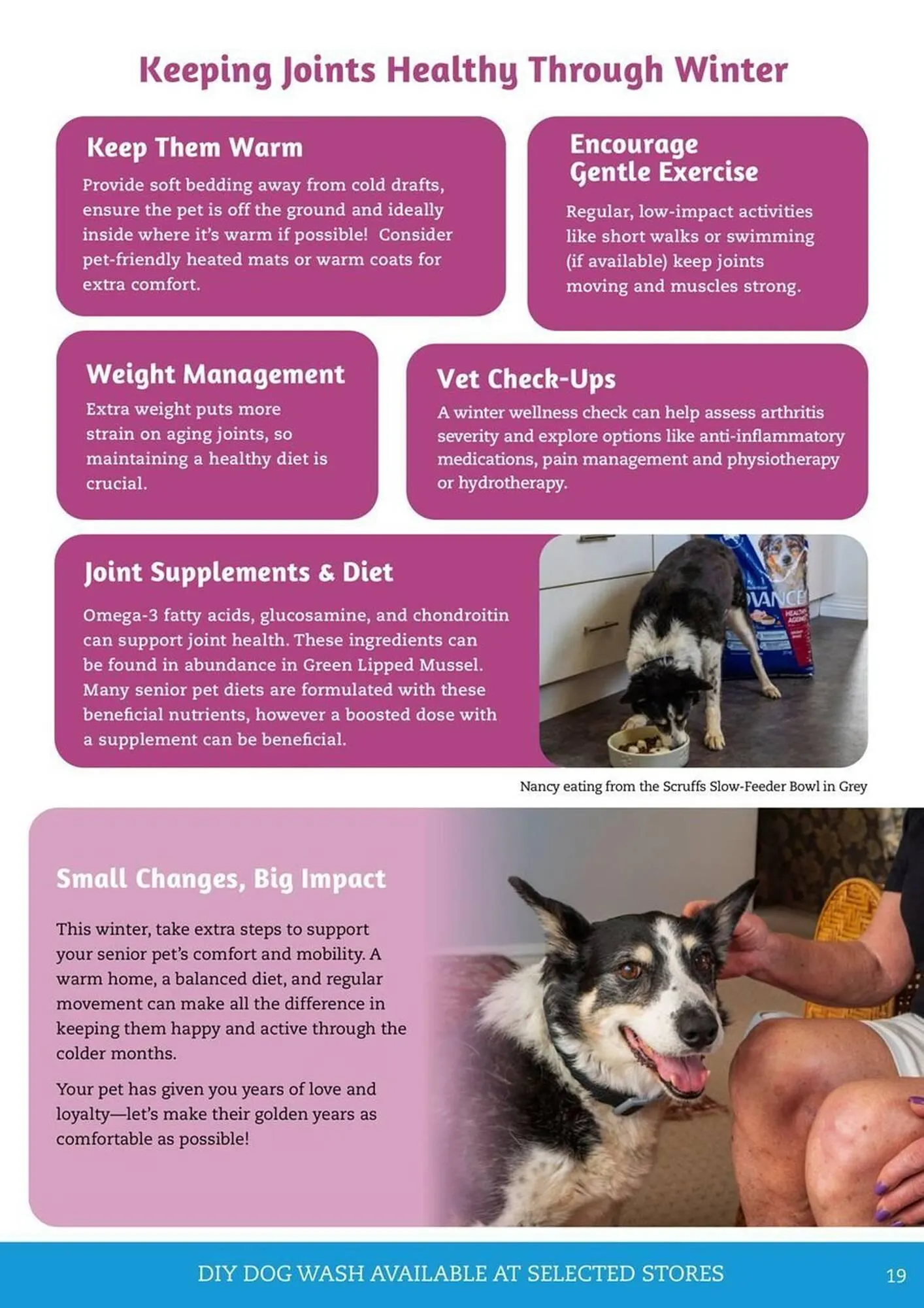 Pets Domain catalogue - Catalogue valid from 1 April to 30 June 2025 - page 19