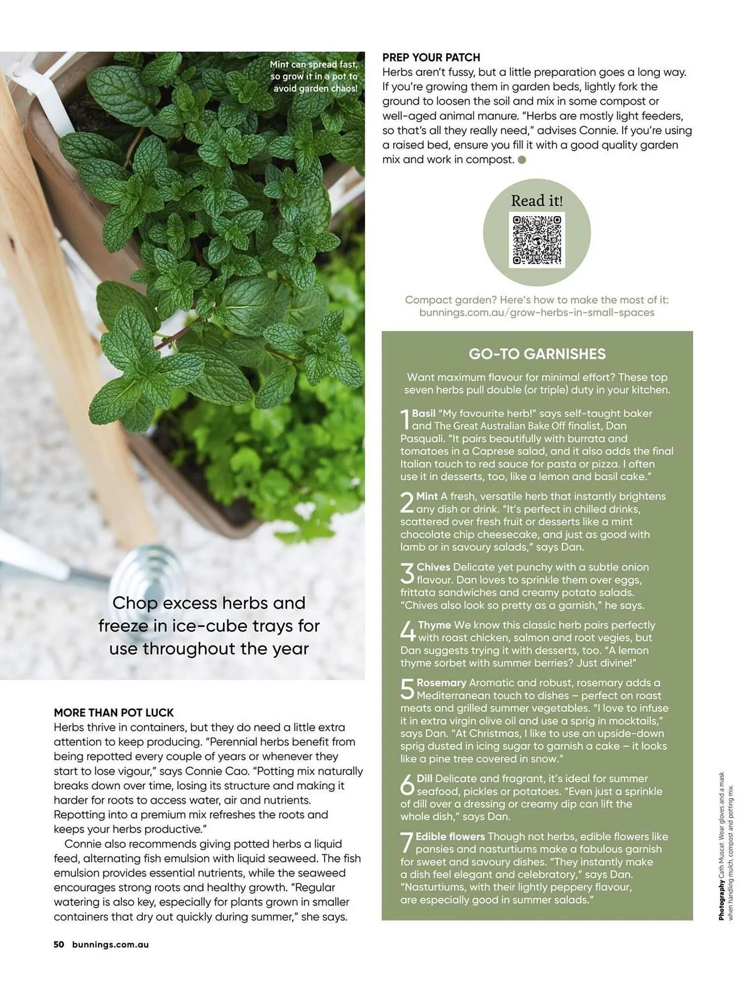 Bunnings catalogue - Catalogue valid from 1 December to 31 December 2025 - page 50