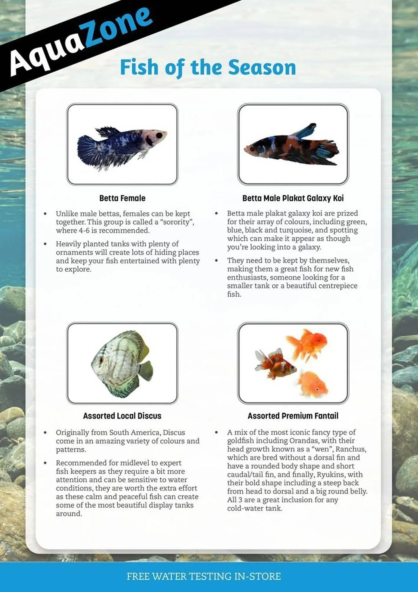 Pets Domain catalogue - Catalogue valid from 1 April to 30 June 2025 - page 30