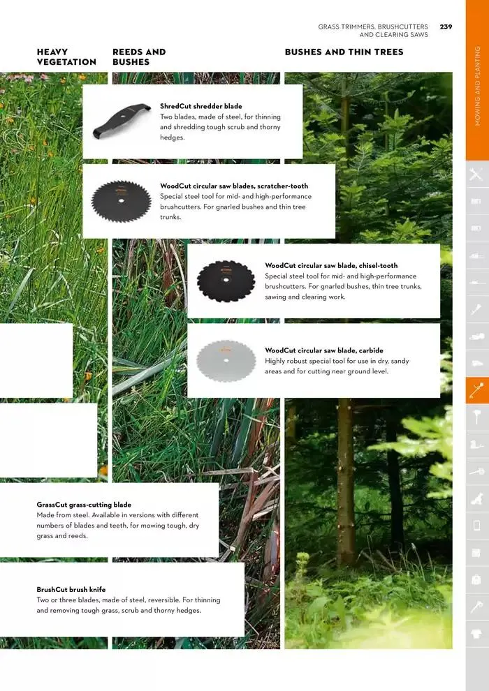 Catalogue 2024 - Catalogue valid from 26 June to 5 January 2025 - page 239