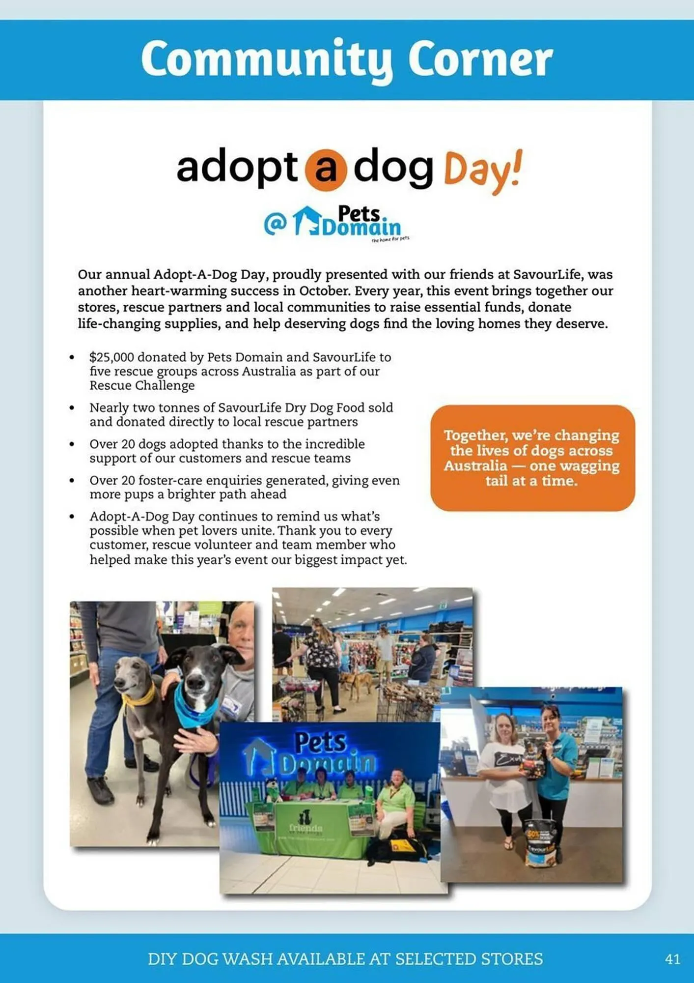 Pets Domain catalogue - Catalogue valid from 1 January to 31 March 2026 - page 41