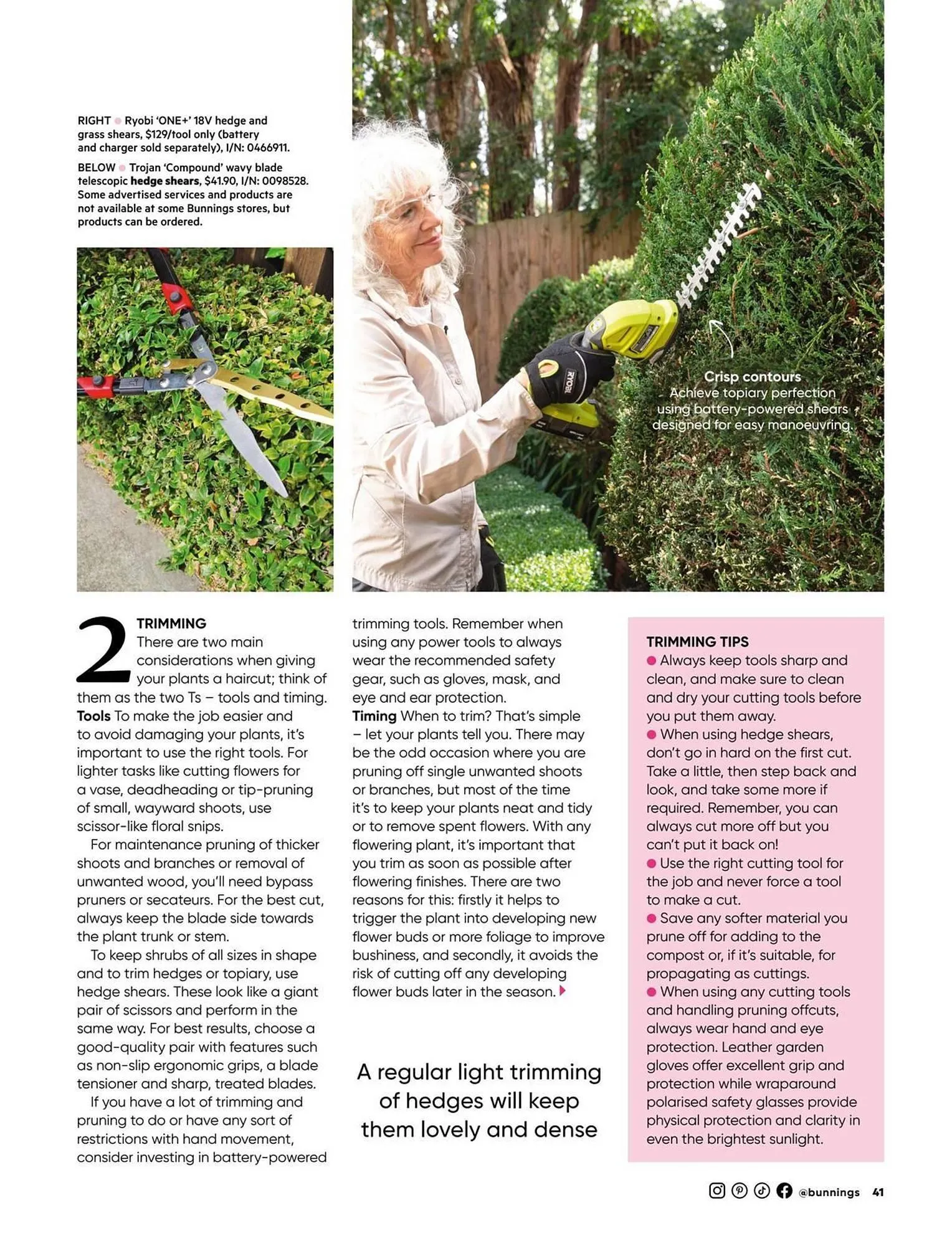 Bunnings catalogue - Catalogue valid from 1 January to 31 January 2026 - page 41