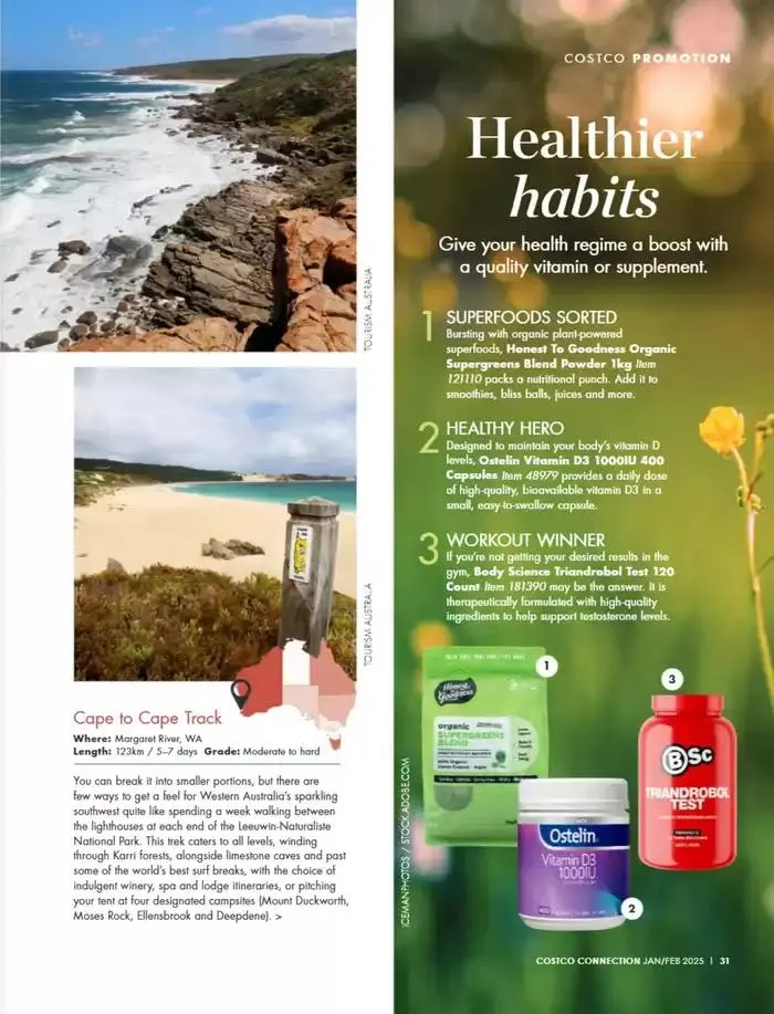 Jan/Feb 2025 - Catalogue valid from 1 January to 28 February 2025 - page 31