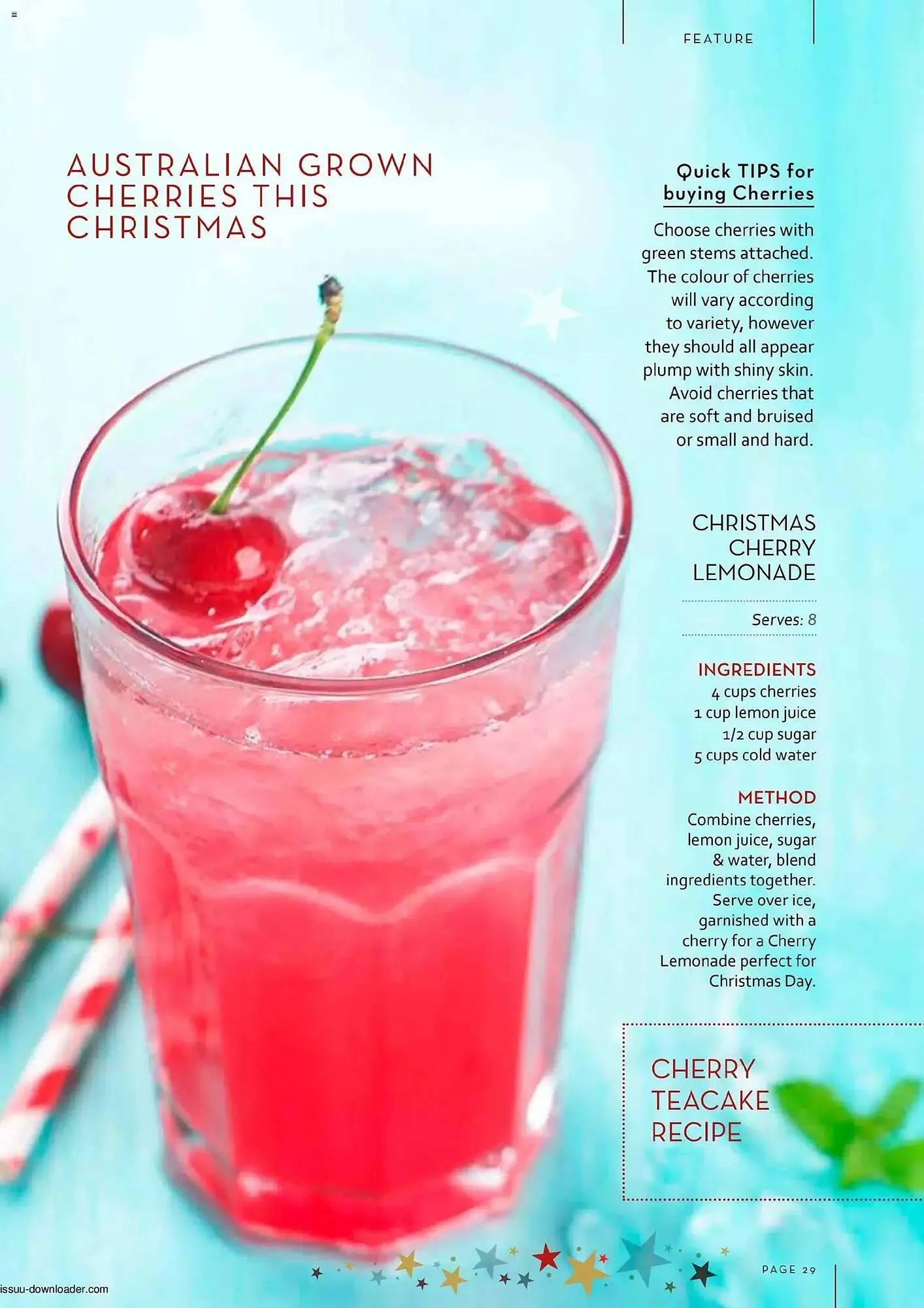 Foodworks catalogue - Catalogue valid from 1 December to 31 December 2025 - page 29