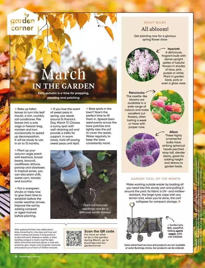 Bunnings Magazine March 2025 - Catalogue valid from 1 March to 31 March 2025 - page 10