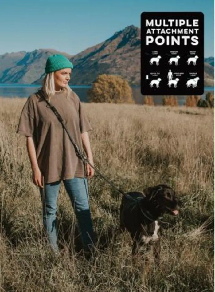 Dog Catalogue 2024 - Catalogue valid from 4 January to 31 December 2024 - page 79