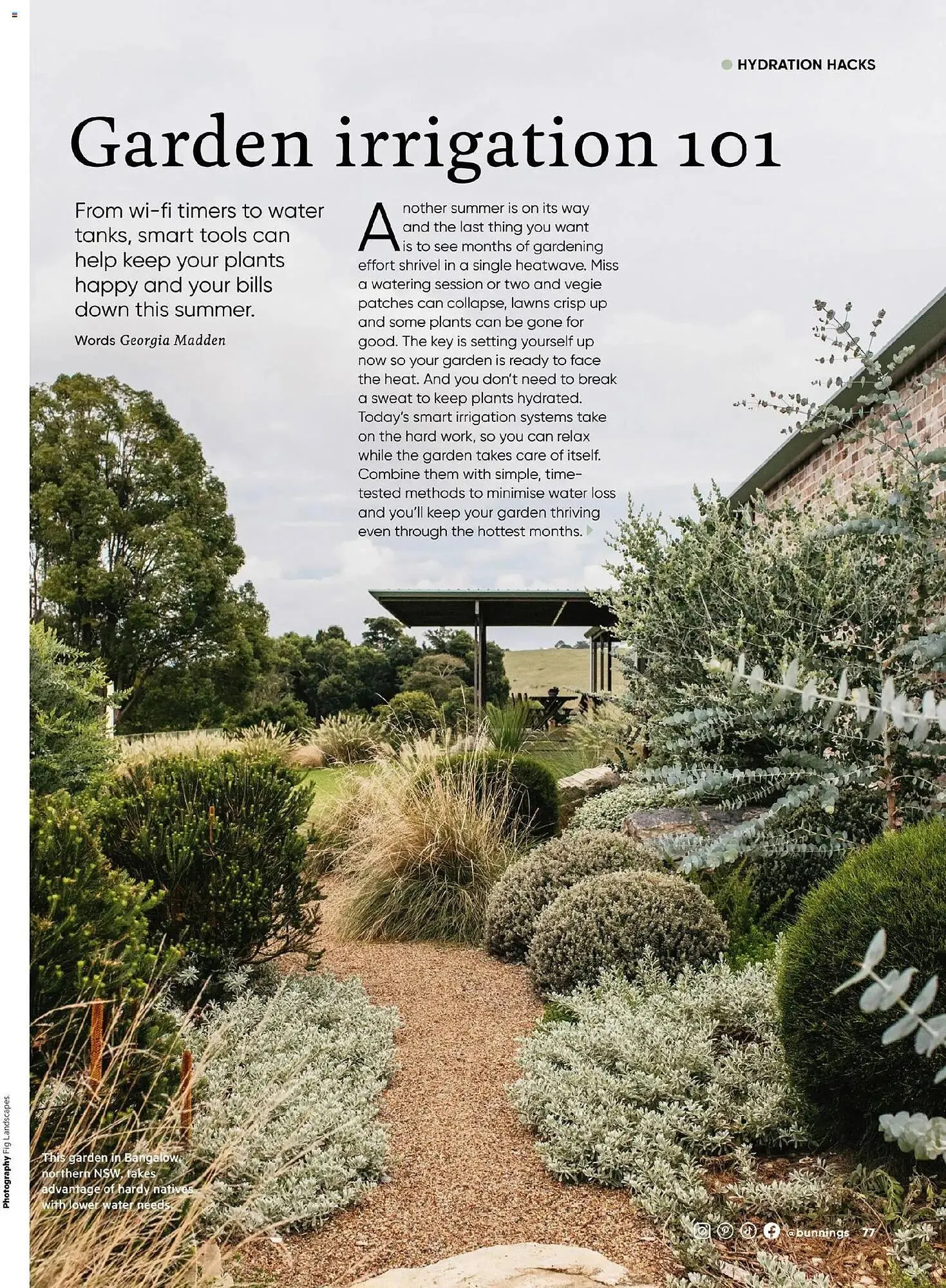 Bunnings catalogue - Catalogue valid from 31 October to 30 November 2025 - page 77