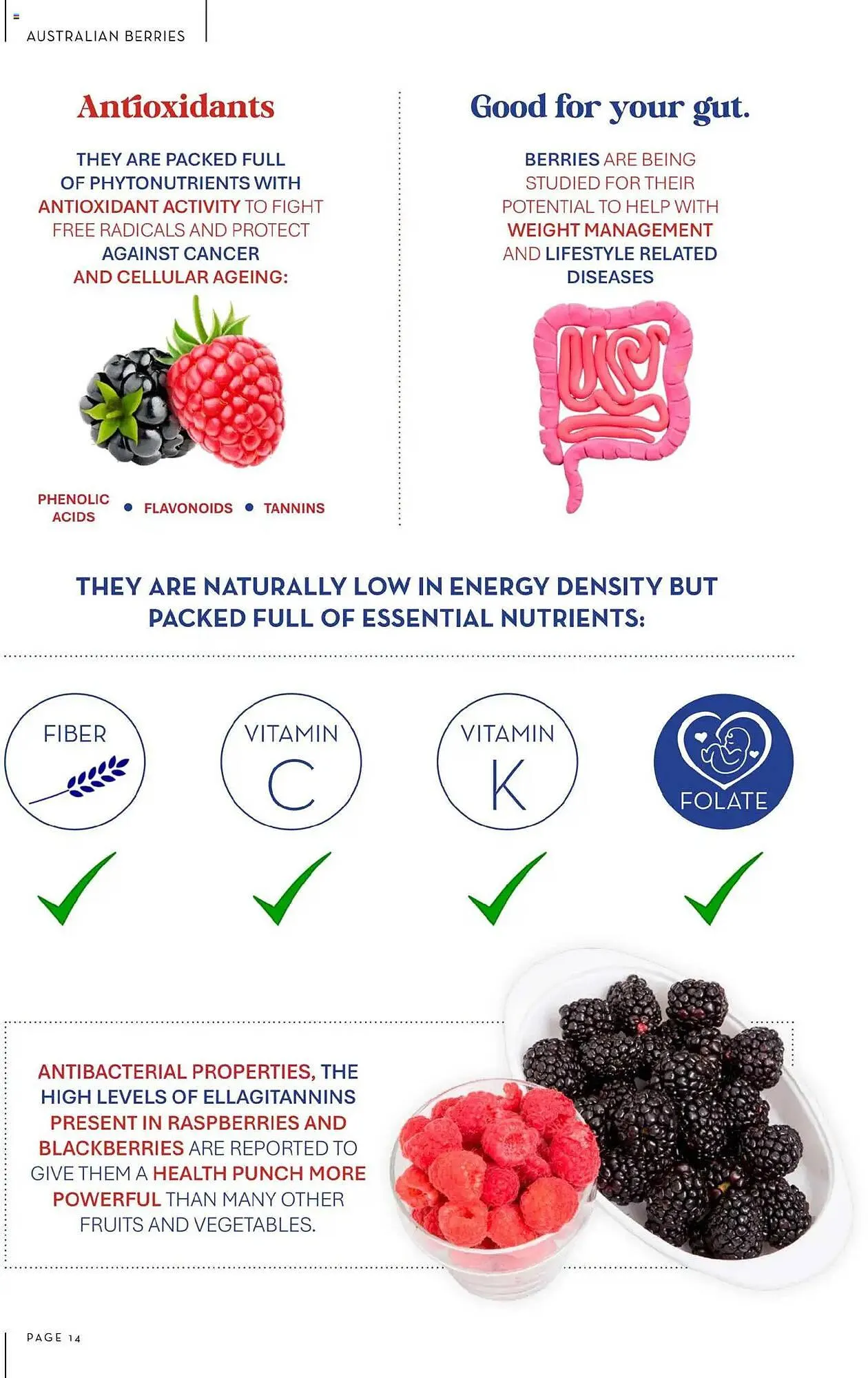 Drakes catalogue - Catalogue valid from 1 October to 30 November 2025 - page 14