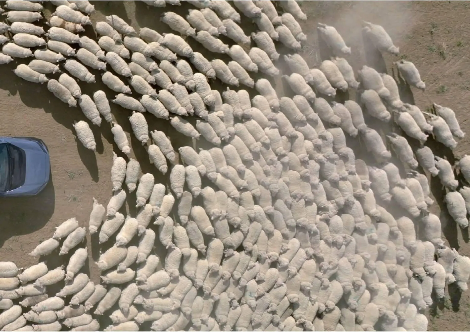 Subaru catalogue - Catalogue valid from 20 June to 20 June 2026 - page 29