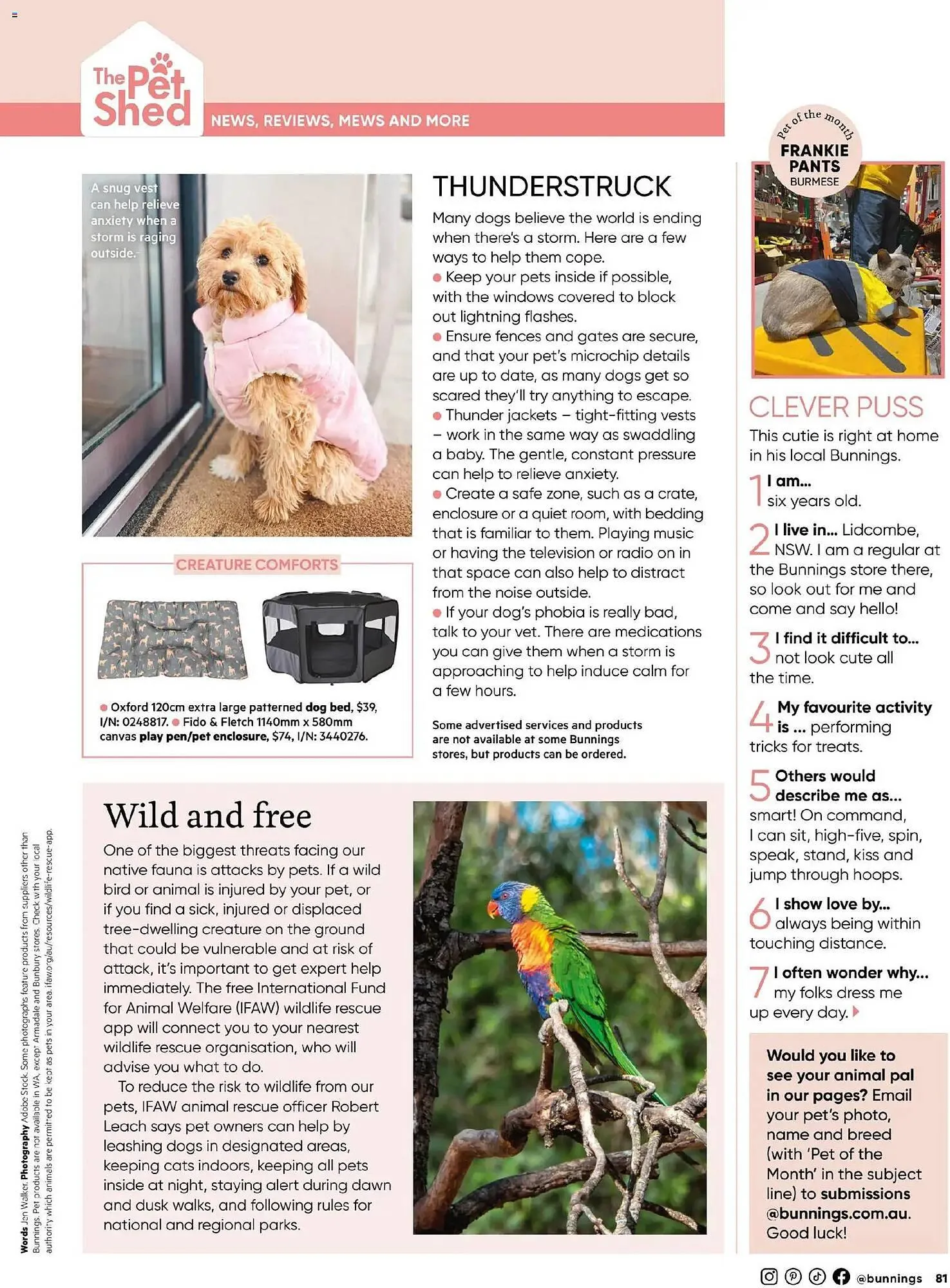 Bunnings catalogue - Catalogue valid from 31 October to 30 November 2025 - page 81