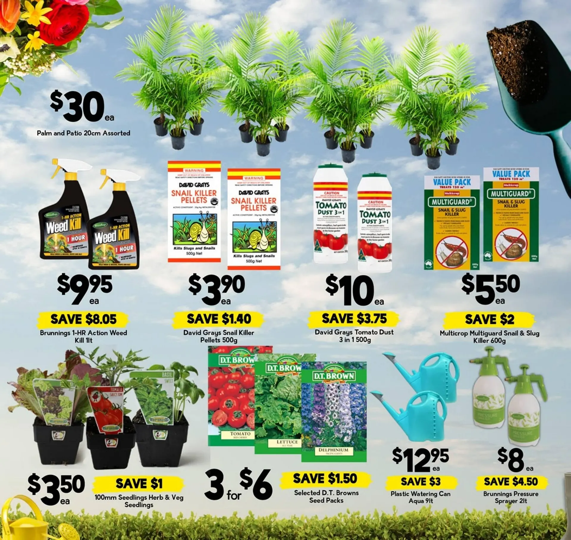 Drakes catalogue - Catalogue valid from 10 September to 16 September 2025 - page 19